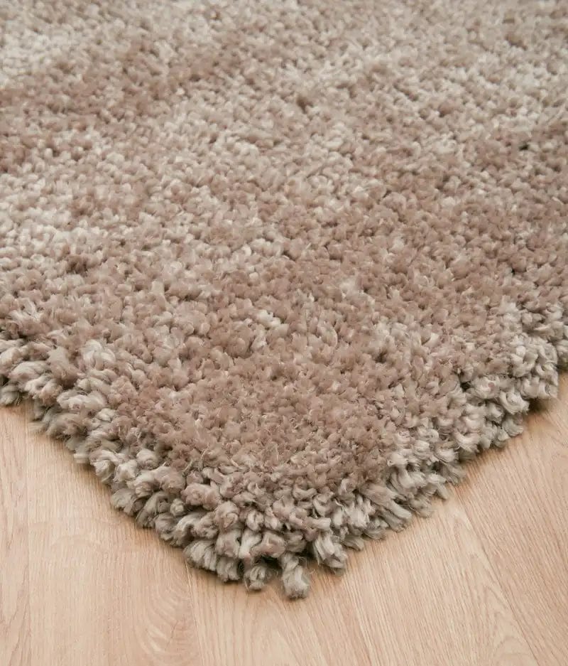 Asiatic Spiral Sand - Image 2