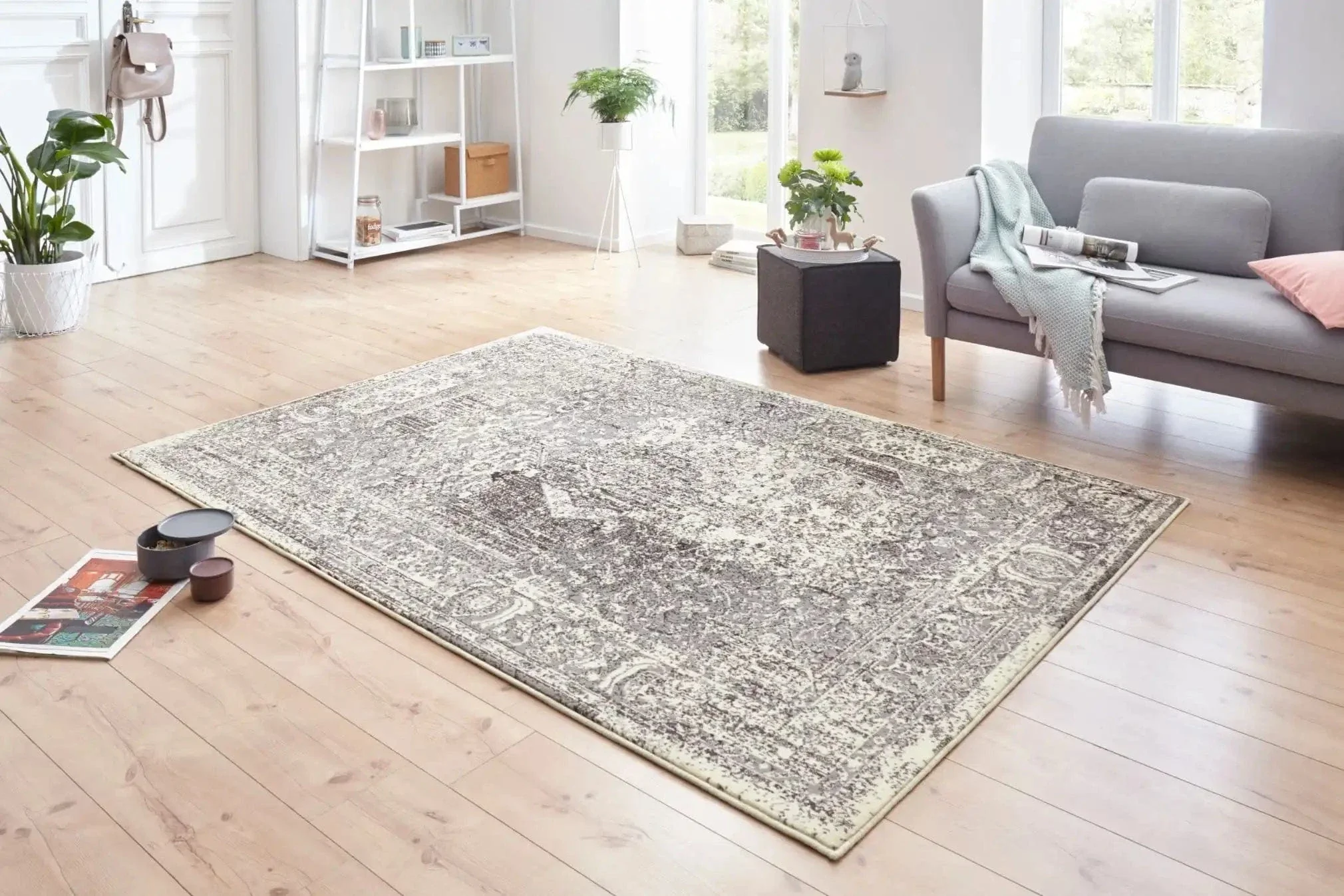 Celebration Plume Cream Grey 103468 Rug
