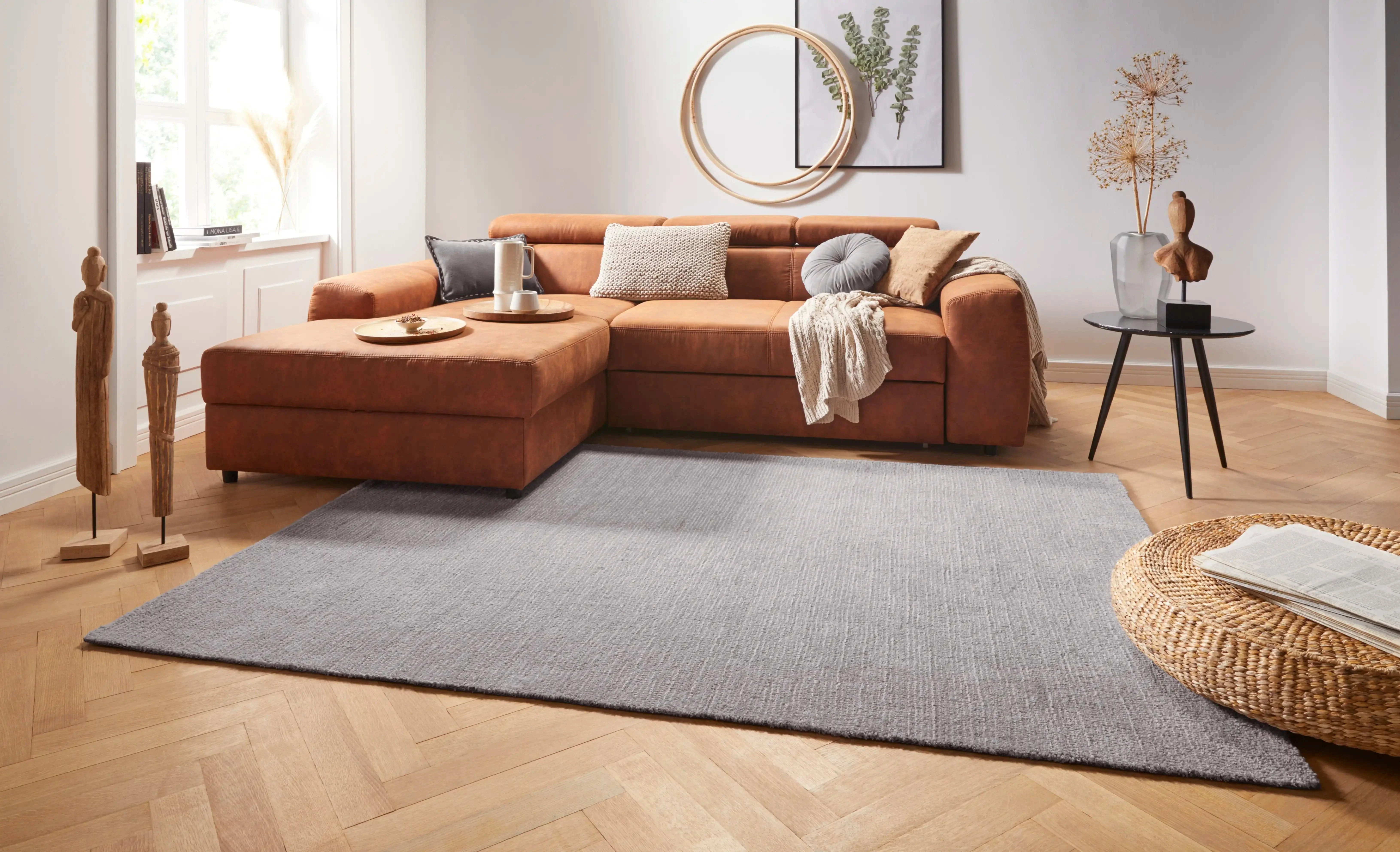 Cloud 103934 Cloud Light Grey Rug