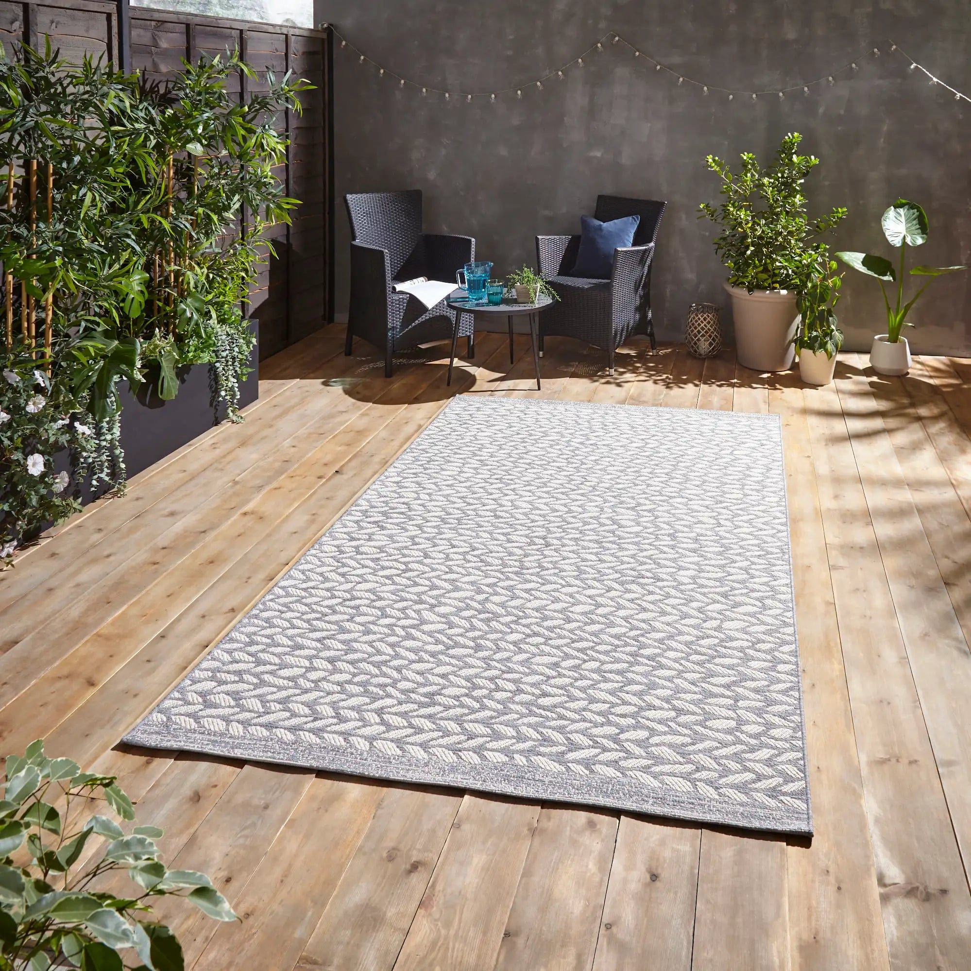 Coast- Think A055 Grey Cream