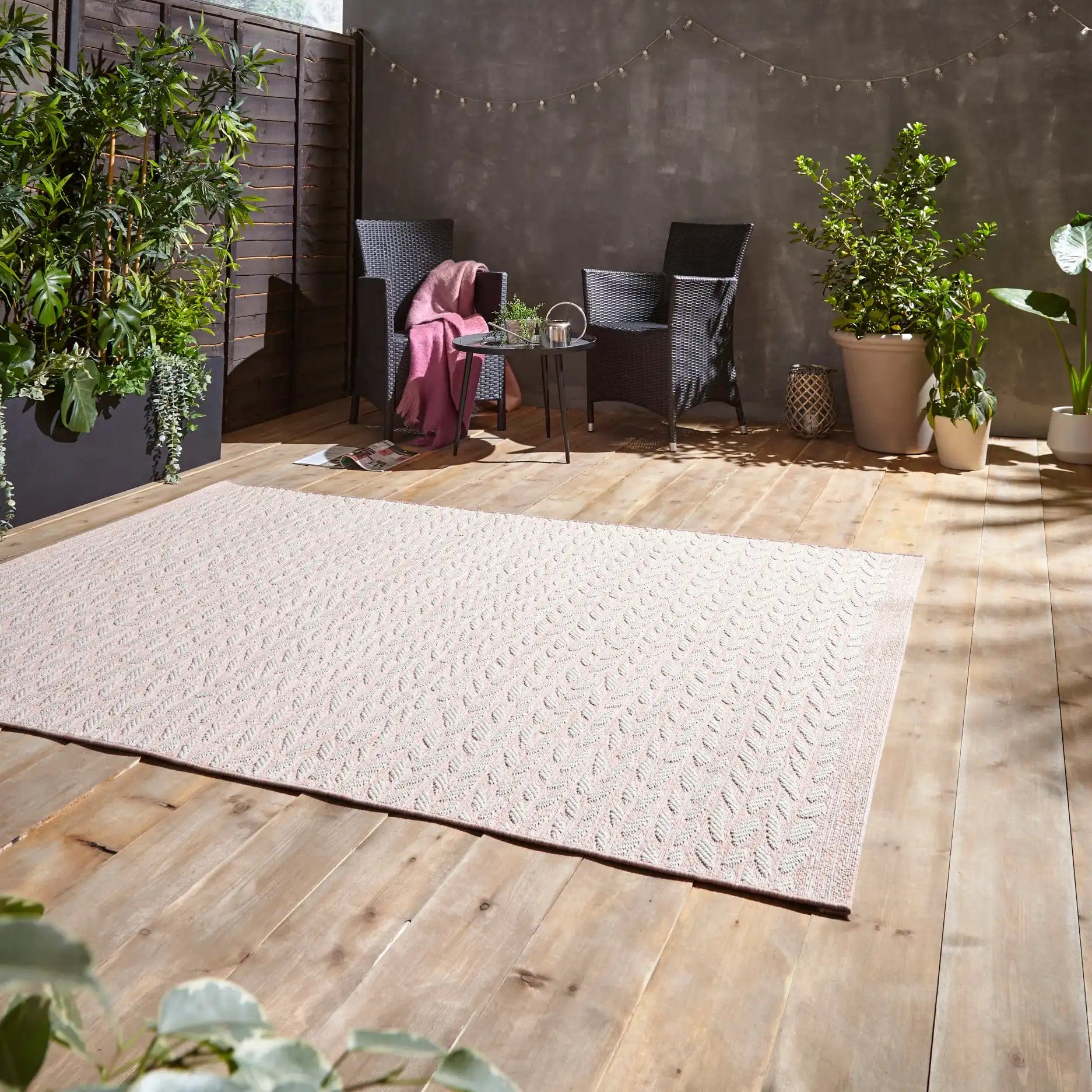 Coast- Think A055 Rose Cream - Image 4