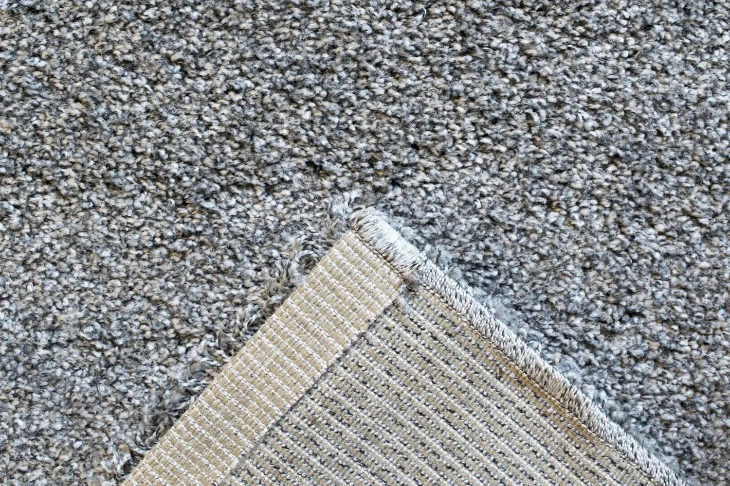 Mehari 023 0001 4248 - Image 6