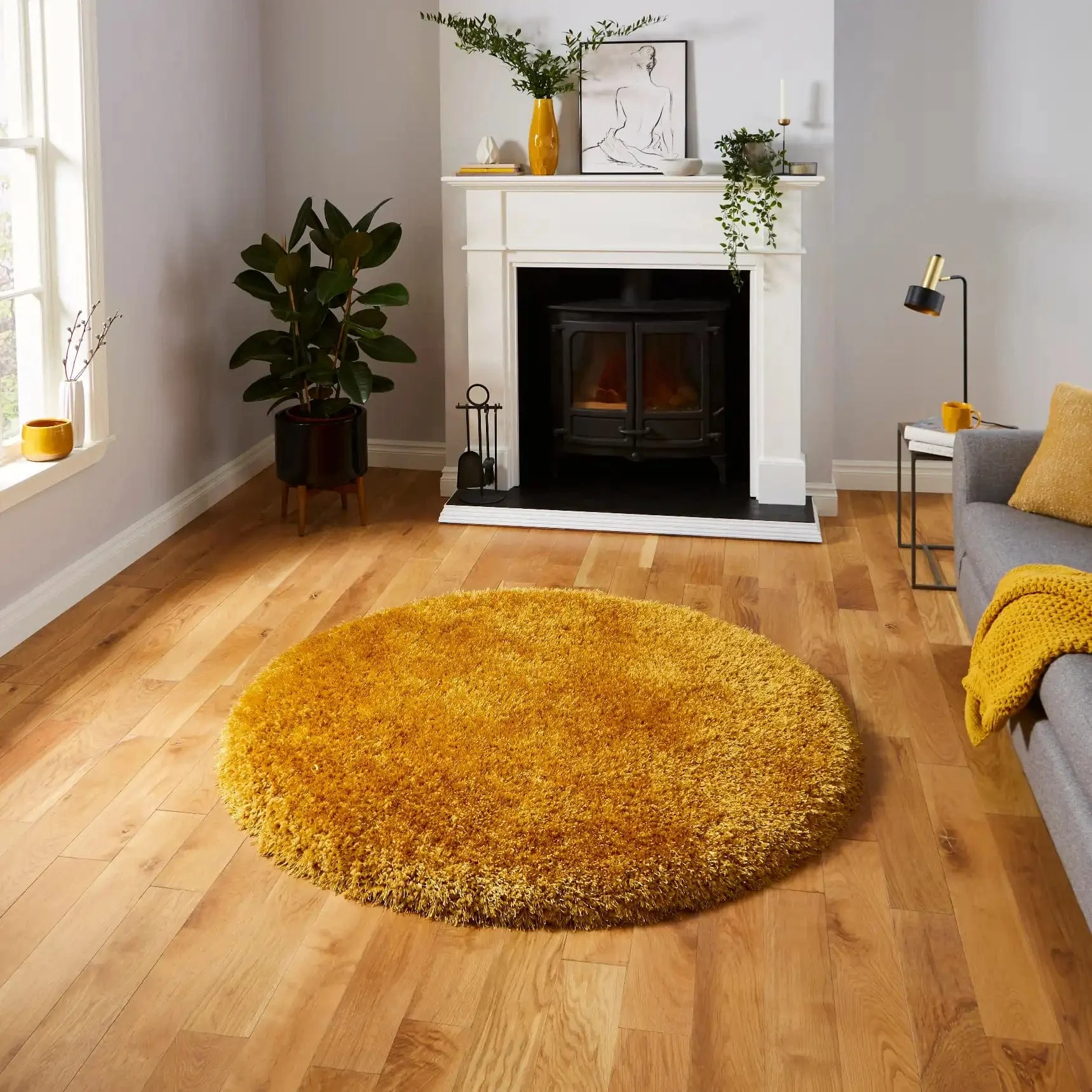 Montana Yellow - Image 3