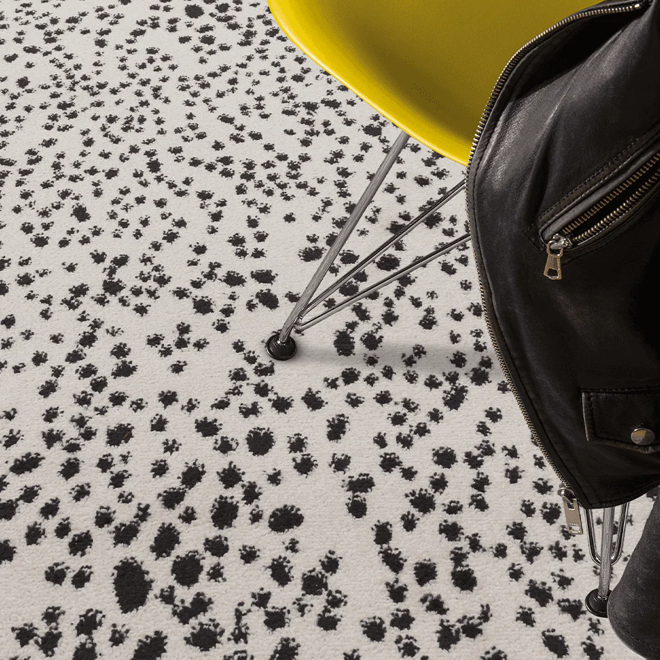 Muse Black Spotty Runner MU11