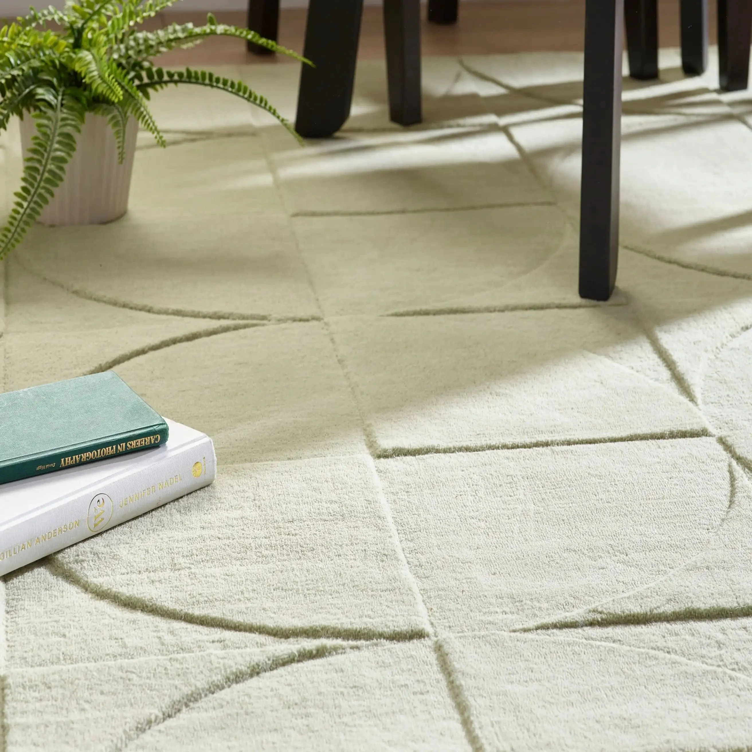 Penny Eucalyptus - Image 3