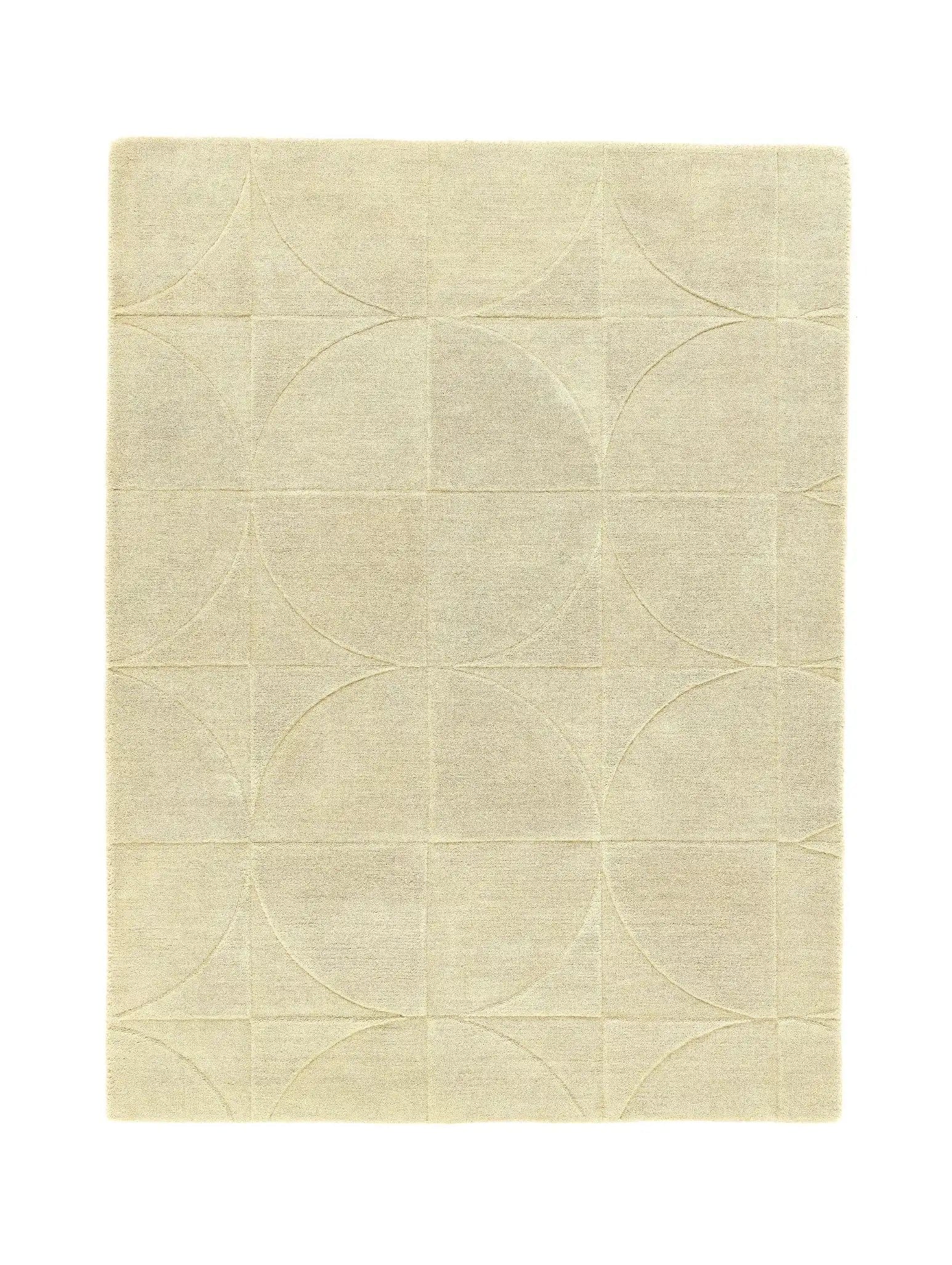 Penny Eucalyptus - Image 4