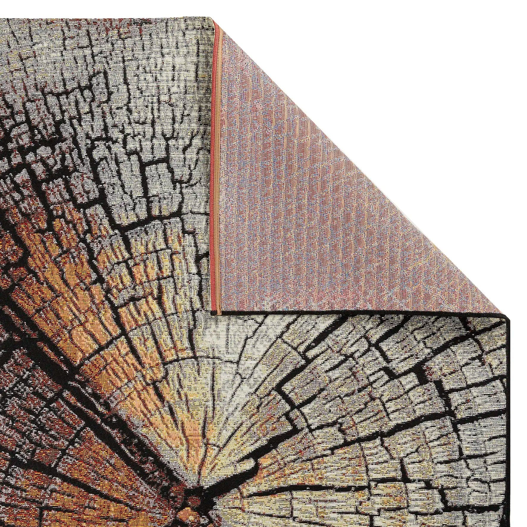 Terra Nova Wood - Image 5